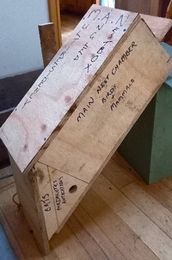 Bush Architect Image 2