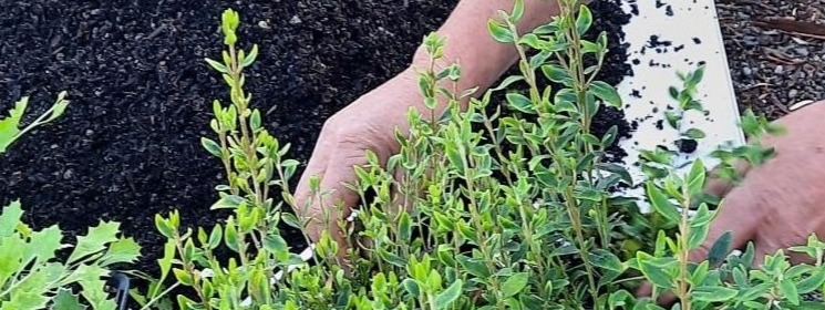 Propagation Workshop and Nursery Tour