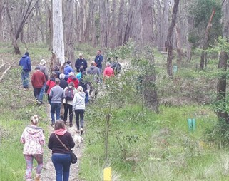 Slaty Creek 2